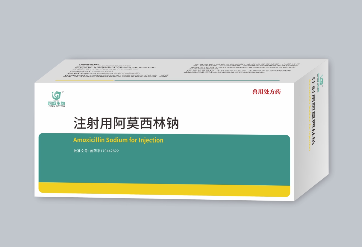 Muối Sodium Amoxicillin cho tiêm truyền