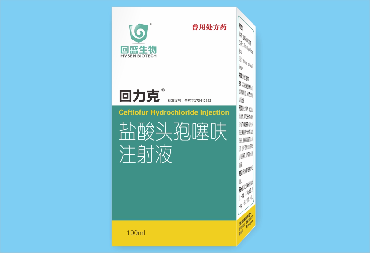 Hồi Lực K 5%